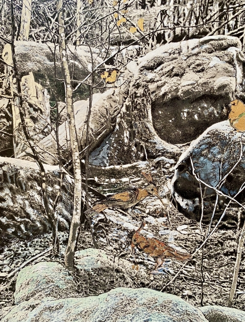 Nord, série des Sentiers de Traverse